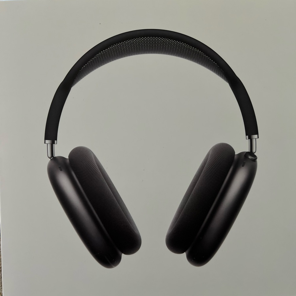 Gray Apple Airdpod Max